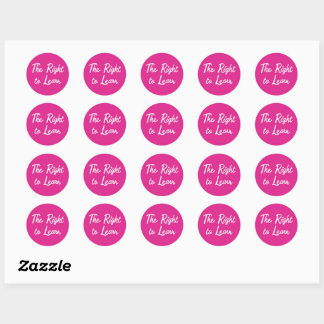 The Right to Learn Classic Round Sticker