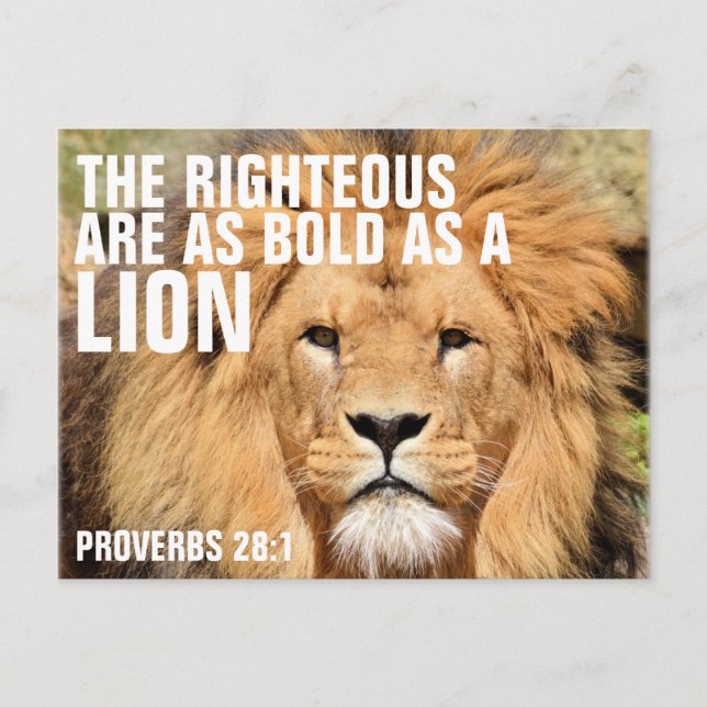 The Righteous are as Bold as a LION Postcard (Front)