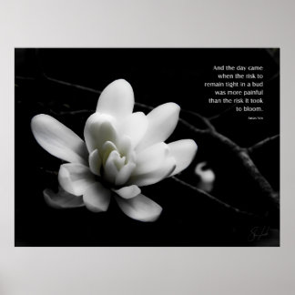 The Risk to Bloom Poster