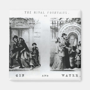 The Rival Fountains or Gin and Water Magnet