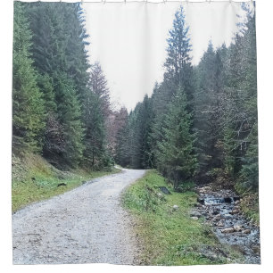 The Road Between Pines - Wild Nature Romania