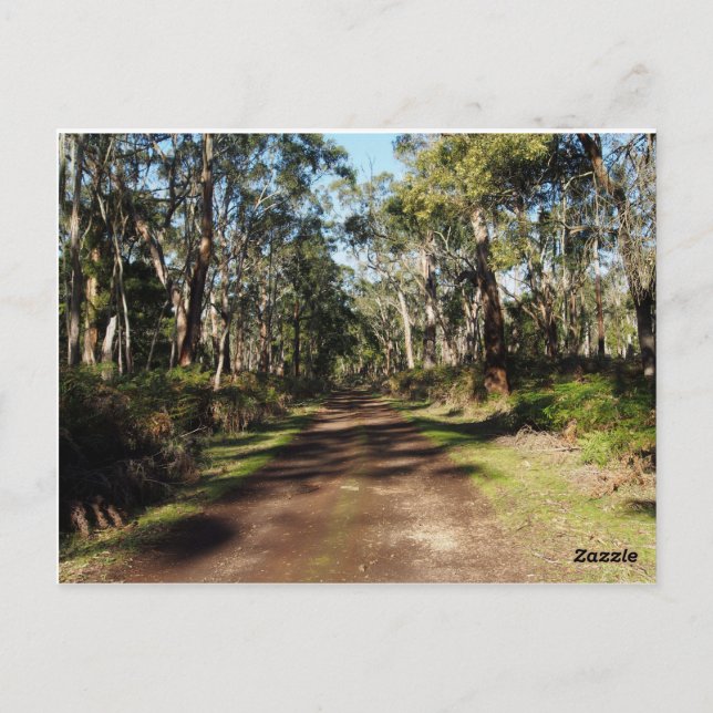 The road forward postcard (Back)