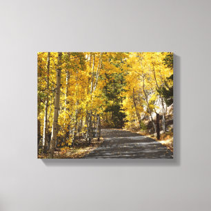 The Road Goes Through the Aspens Canvas Print