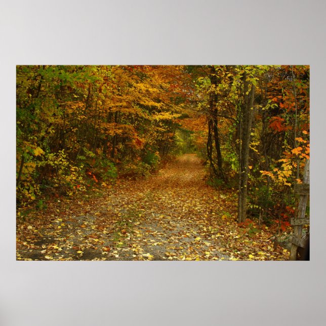 The Road Less Travelled Poster (Front)