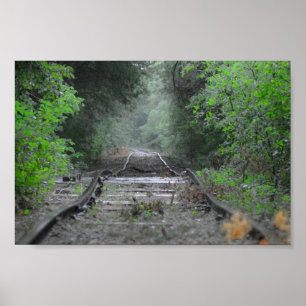 The Road Less Travelled Poster