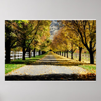 The Road of Colours Poster