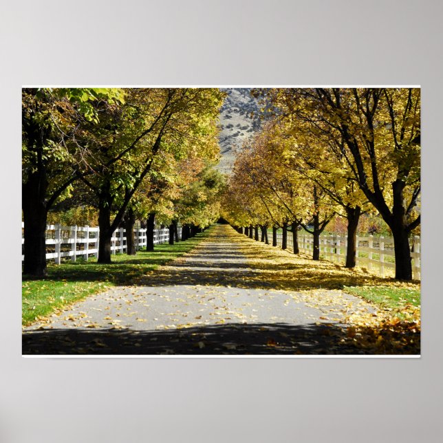 The Road of Colours Poster (Front)