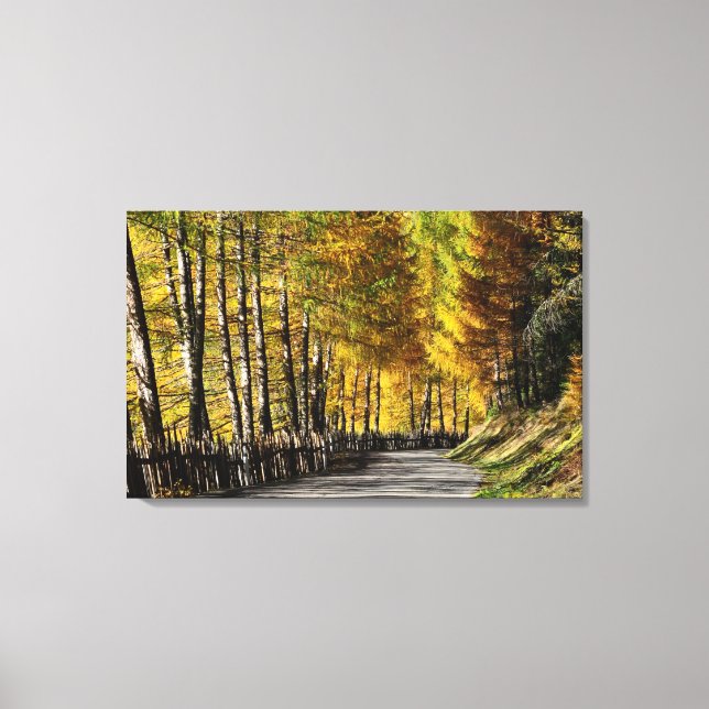 The road to autumn canvas print (Front)