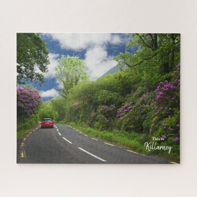 The Road to Killarney- Ireland Jigsaw Puzzle (Horizontal)