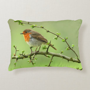 The Robin Accent Pillow