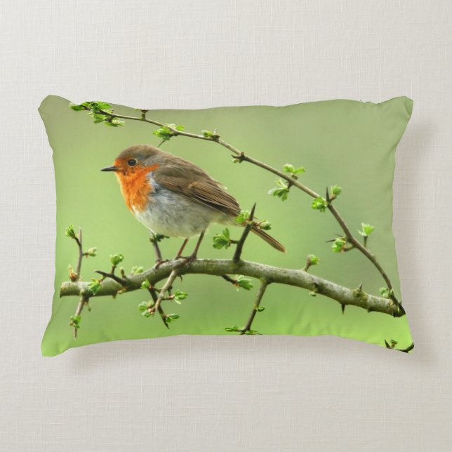 The Robin Accent Pillow (Front)