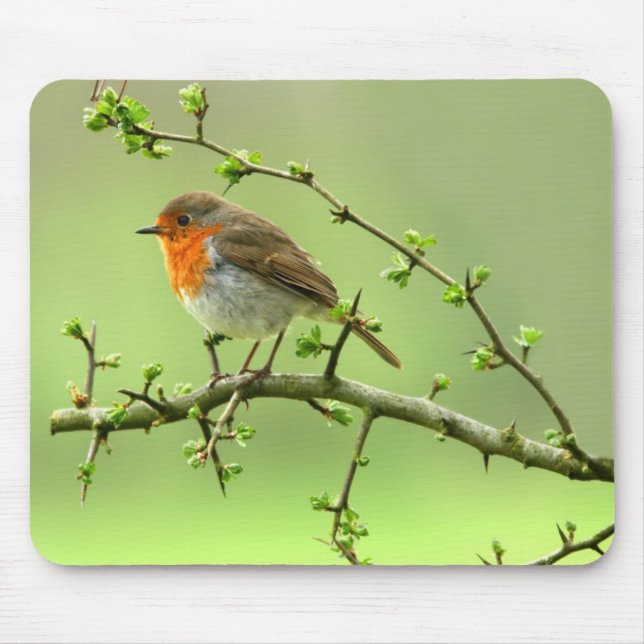 The Robin Mouse Pad (Front)