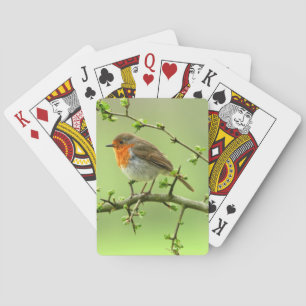 The Robin Playing Cards