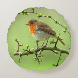 The Robin Round Pillow