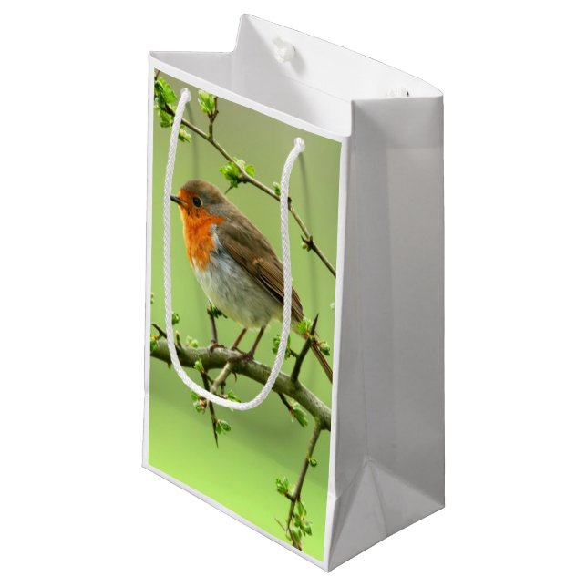 The Robin Small Gift Bag (Front Angled)