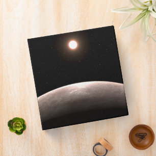 The Rocky Exoplanet Lhs 475 B And Its Host Star. Binder