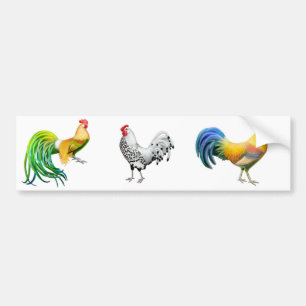 The Roosters Bumper Sticker