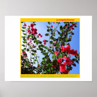 The Rosariankrantz of the Aurorarian Lamp! * Poster