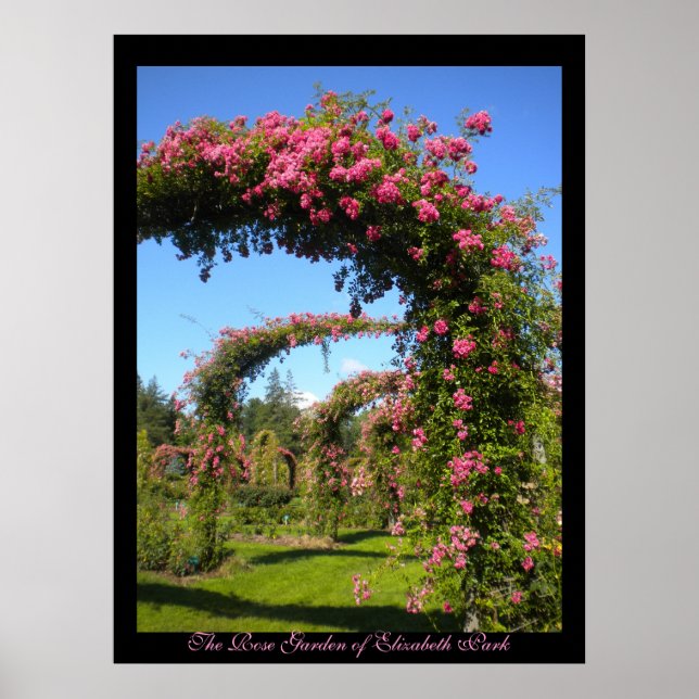 The Rose Garden of Elizabeth Park Poster (Front)
