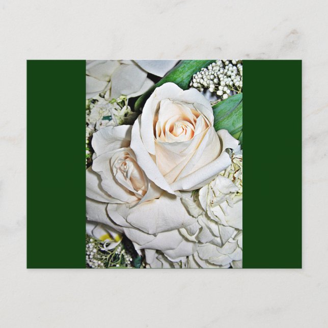 The Rose_ Postcard (Front)