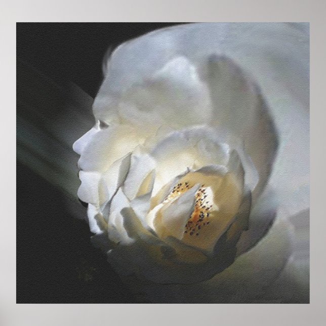 The Rose Poster (Front)