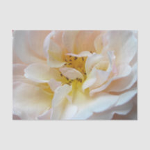 The Rose