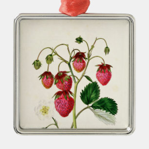 The Roseberry Strawberry, engraved by Watte Metal Ornament