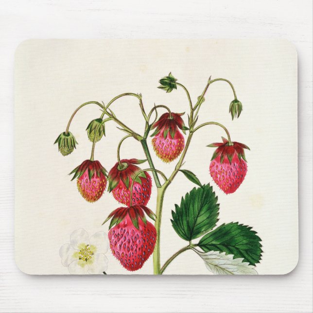 The Roseberry Strawberry, engraved by Watte Mouse Pad (Front)