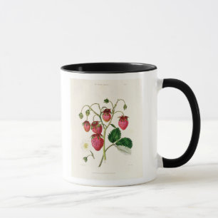 The Roseberry Strawberry, engraved by Watte Mug