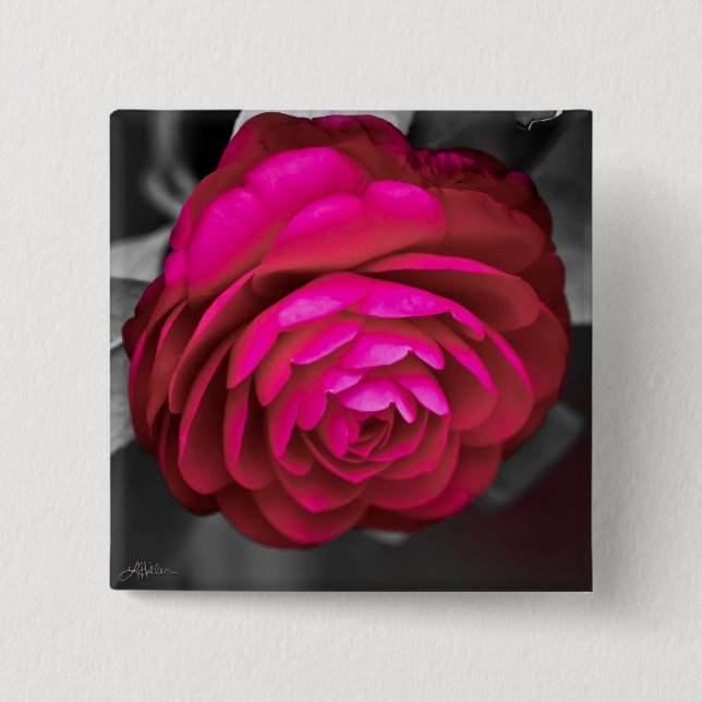 The Rosy Camellia  2 Inch Square Button (Front)