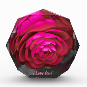 The Rosy Camellia I Love You! Photo Block