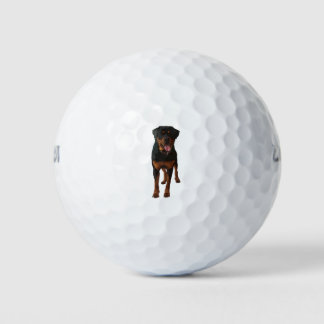 The Rottweiler Golf Balls