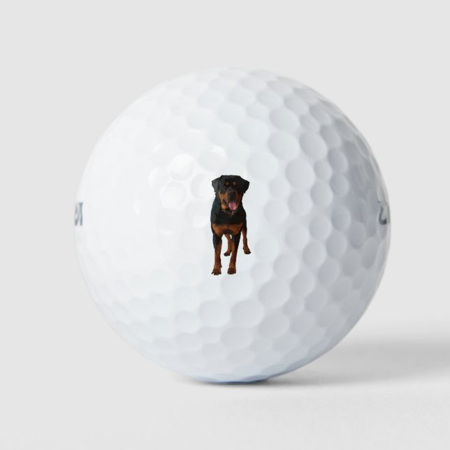 The Rottweiler Golf Balls (Front)