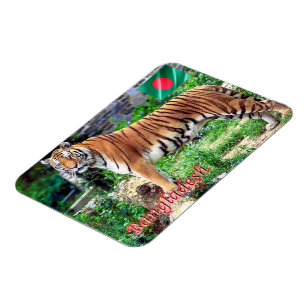 The Royal Bengal Tiger Magnet