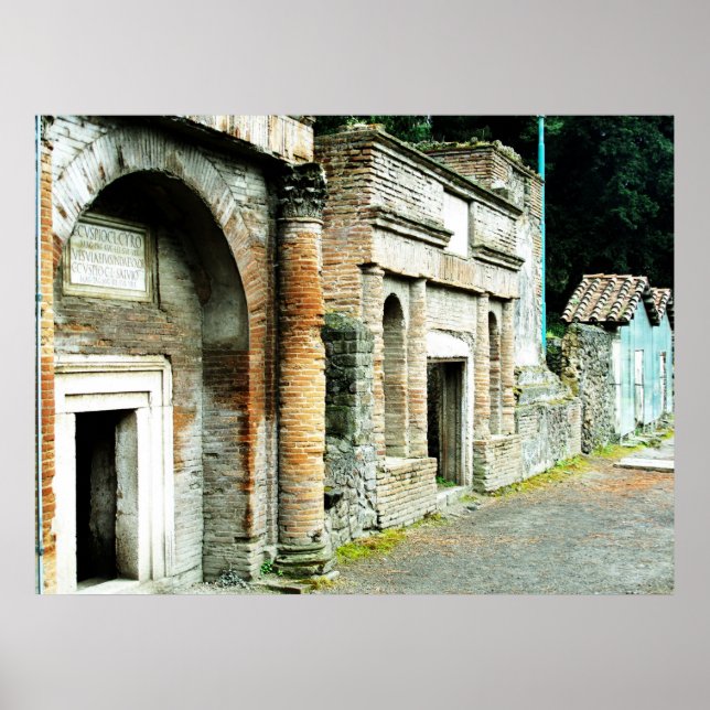 The Ruins of Pompeii - marketplace with temples Poster (Front)