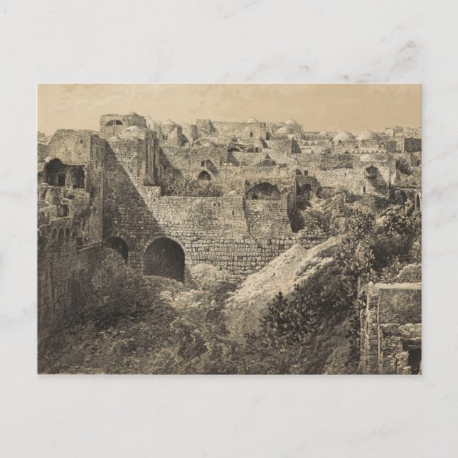 The Ruins of the Pool of Bethesda in Jerusalem Postcard (Front)