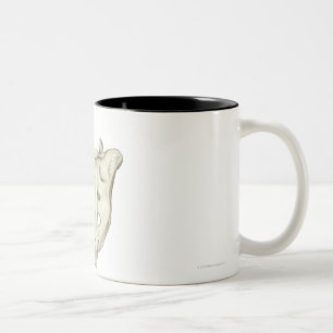 The Sacrum Two-Tone Coffee Mug
