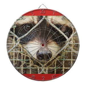 the sad look of a raccon behind the cage dartboard