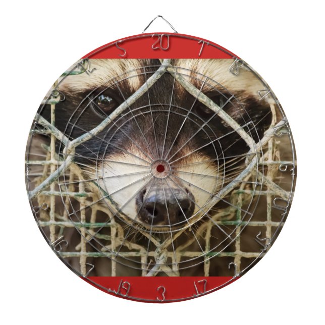 the sad look of a raccon behind the cage dartboard (Front)