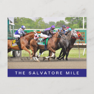 The Salvatore Mile Postcard