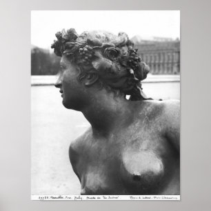 The Saone River ,from the Parterre Poster