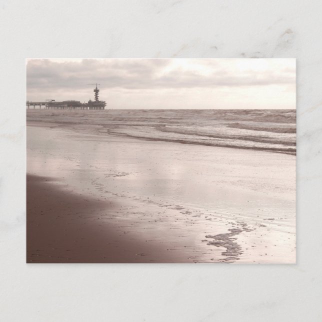 The Scheveningen Dier at Dusk Postcard (Front)