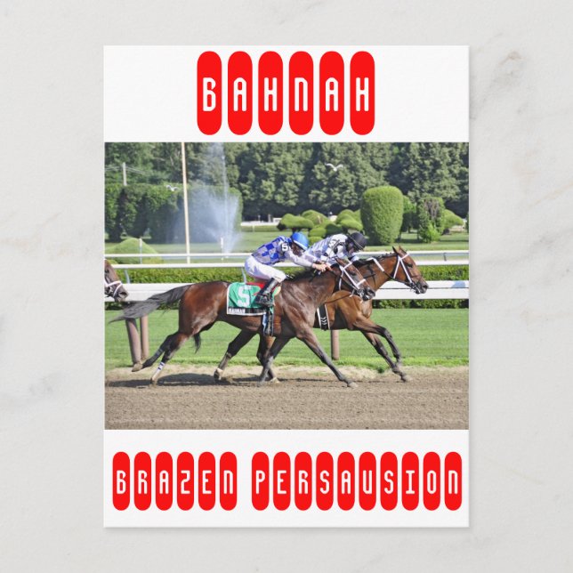 The Schuylerville Stakes Postcard (Front)