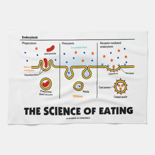 The Science Of Eating (Endocytosis Biology Humour) Kitchen Towel (Horizontal)