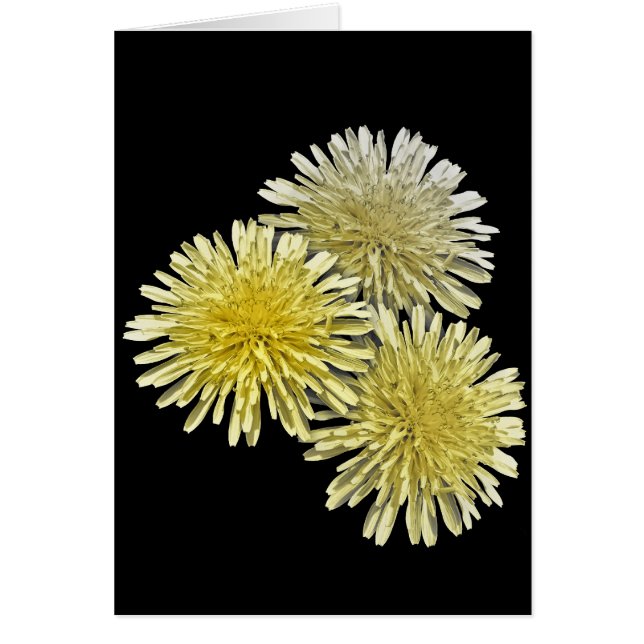 The Scourge of the Neighbourhood (Front)