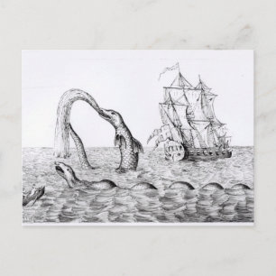 The Sea Serpent Postcard