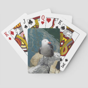 The Seagull Larry Day Ken Gauge Bird Photography Playing Cards