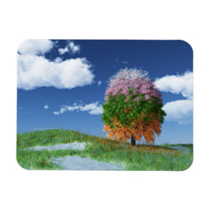 The Season Tree Flexible Magnet