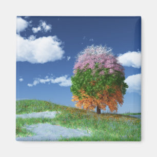 The Season Tree Magnet
