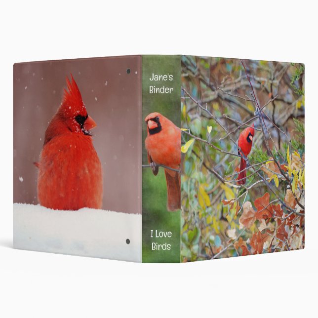 The Seasons of a Red Cardinal Bird Name Binder (Background)
